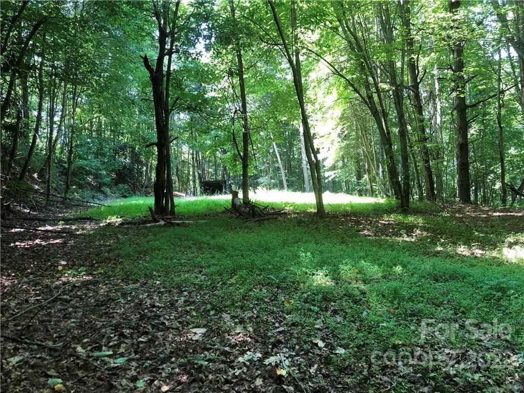 00 Grey Fox Ln., Waynesville, NC 28785