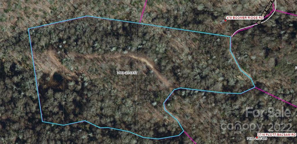 79 Plott Balsam Rd., Silva, NC 28751