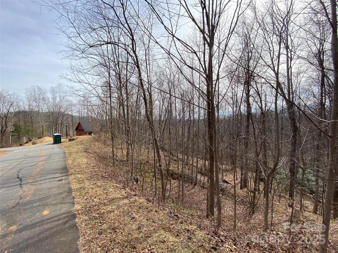 46 Holmstead Dr., Lake Lure, NC 28746