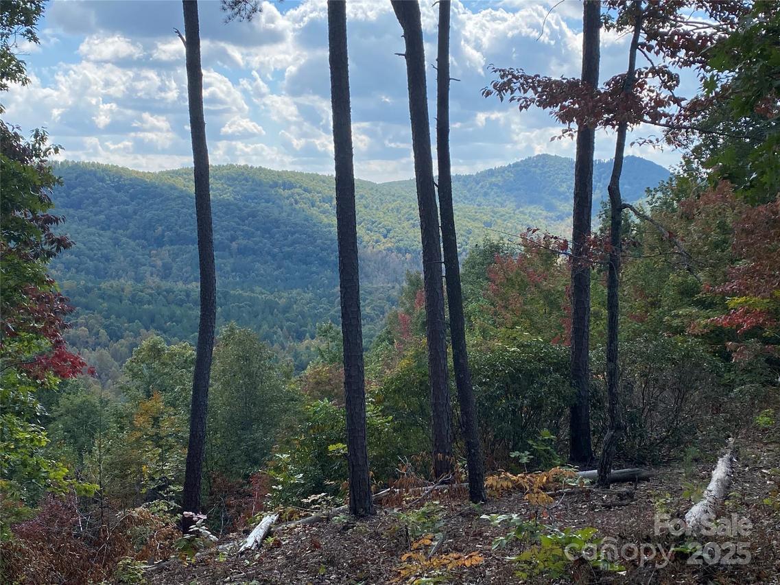 61 Scenic Vista Dr. #238, Nebo, NC 28761