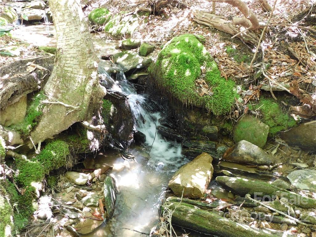 8550 E Laurel Springs Dr., Jonas Ridge, NC 28641