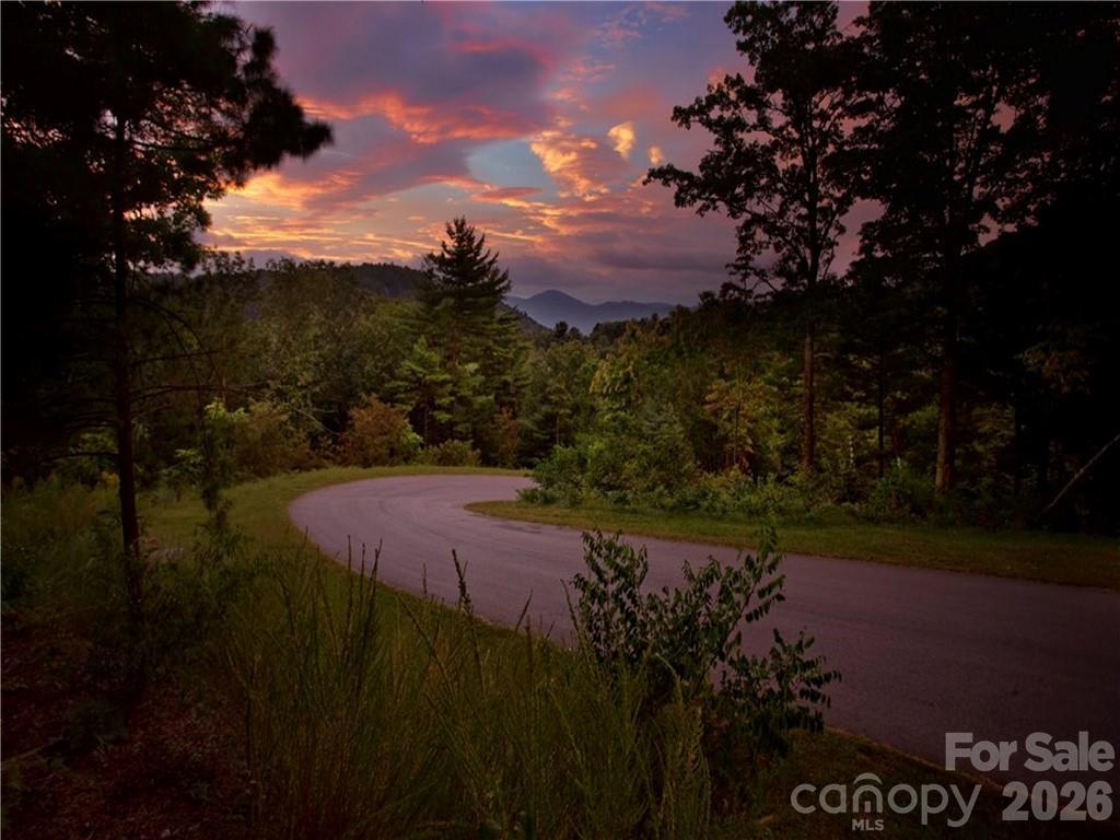 187 Starling Pass None #102, Asheville, NC 28804