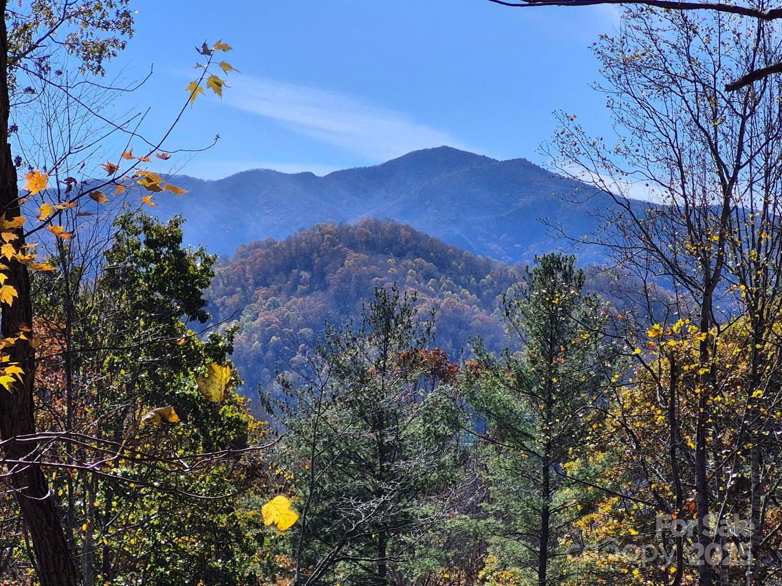 Lot 11-D Alpine Ridge #D-11, Canton, NC 28716