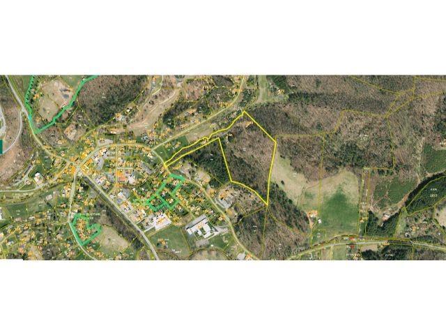 Great Dane Ln., Bakersville, NC 28705