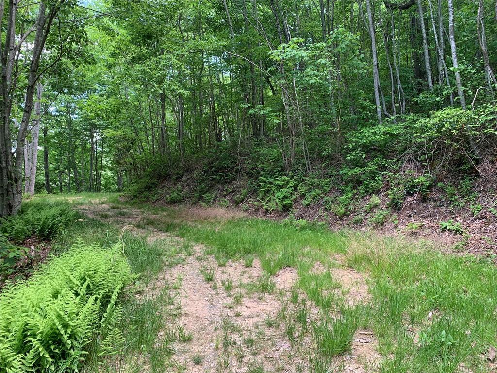 Lot 18 Racoon Cove Rd. #18, Bryson City, NC 28713
