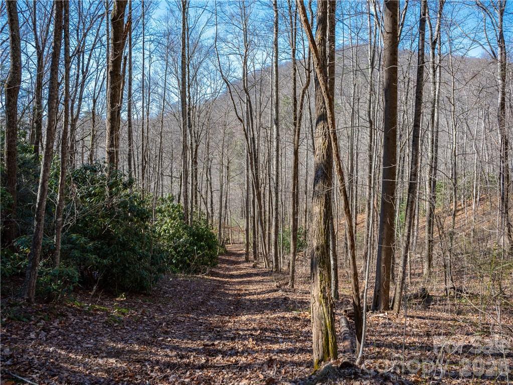 TBD Long Branch Rd., Swannanoa, NC 28778
