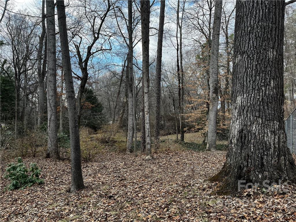 118 Springdale Ave., Asheville, NC 28803