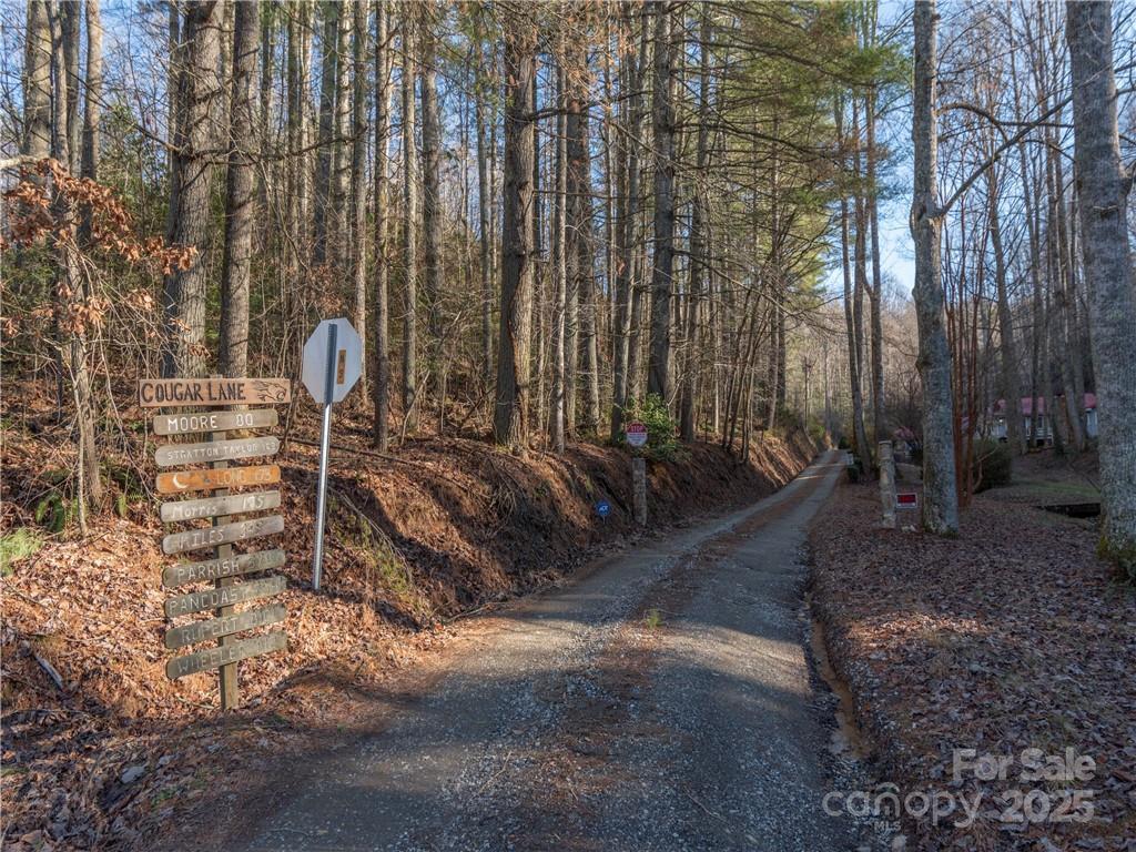 00 Cougar Ln., Whittier, NC 28789