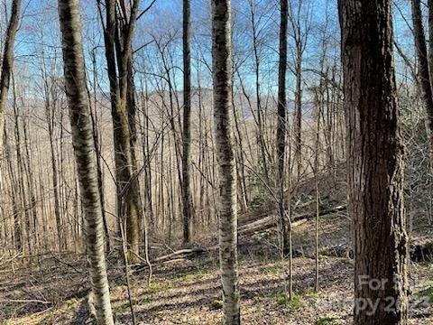 00 Songbird Tr. #16, Waynesville, NC 28785