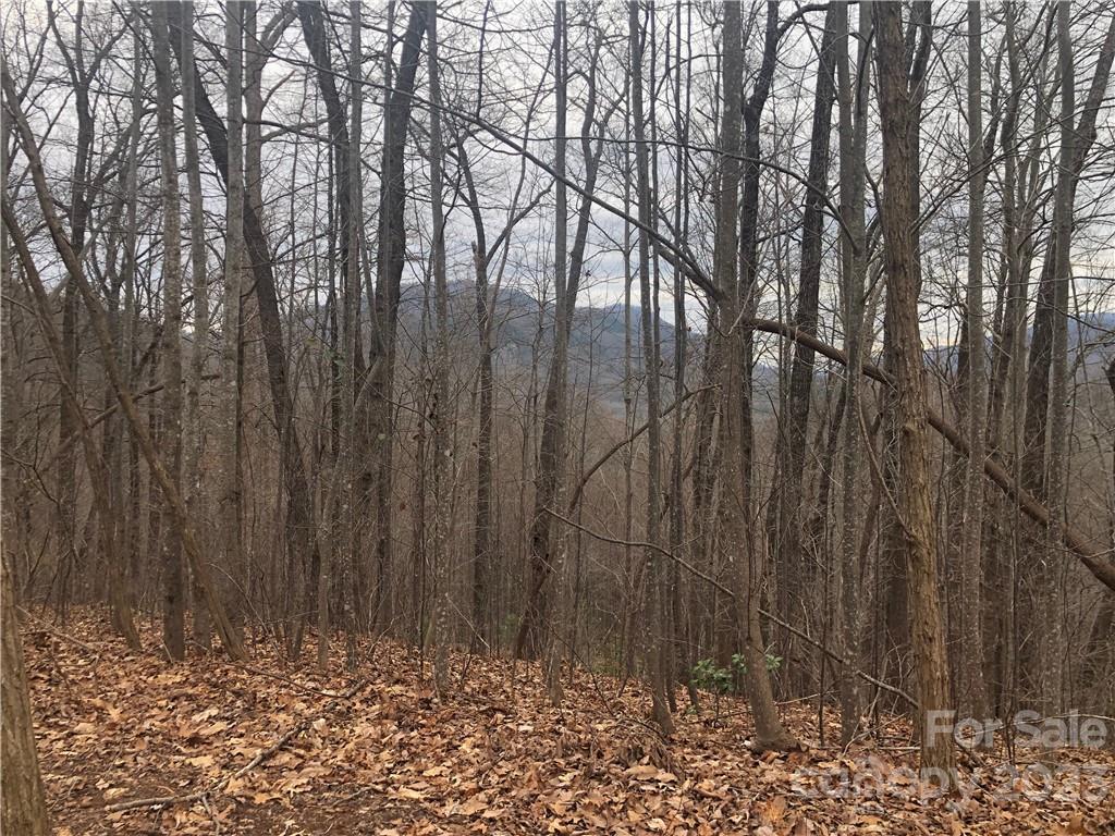 141 Tranquility Ridge, Lake Lure, NC 28746