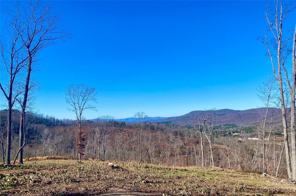 Towery Trace, Bostic, NC 28018