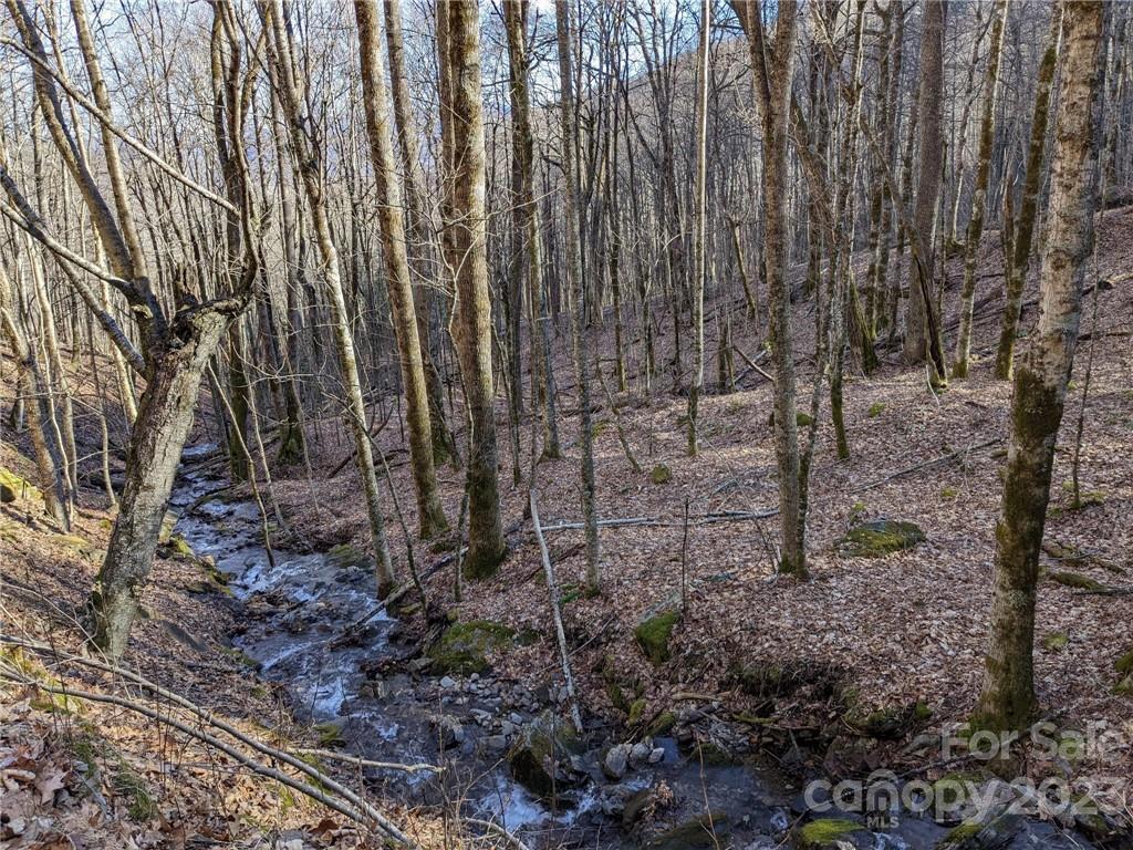 264 Winding Creek Dr. ##264, Waynesville, NC 28786
