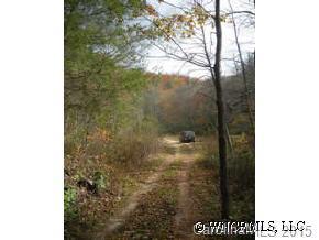 [Address Hidden by Seller], Black Mountain, NC 28711