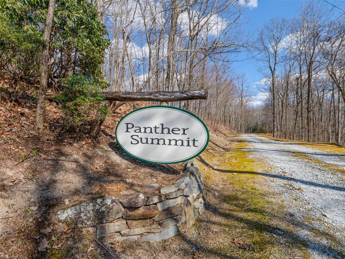 PS 4 Panther Summit Dr., Lake Toxaway, NC 28747