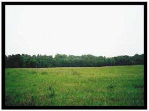 14624 Brown Mill Rd., Huntersville, NC 28078