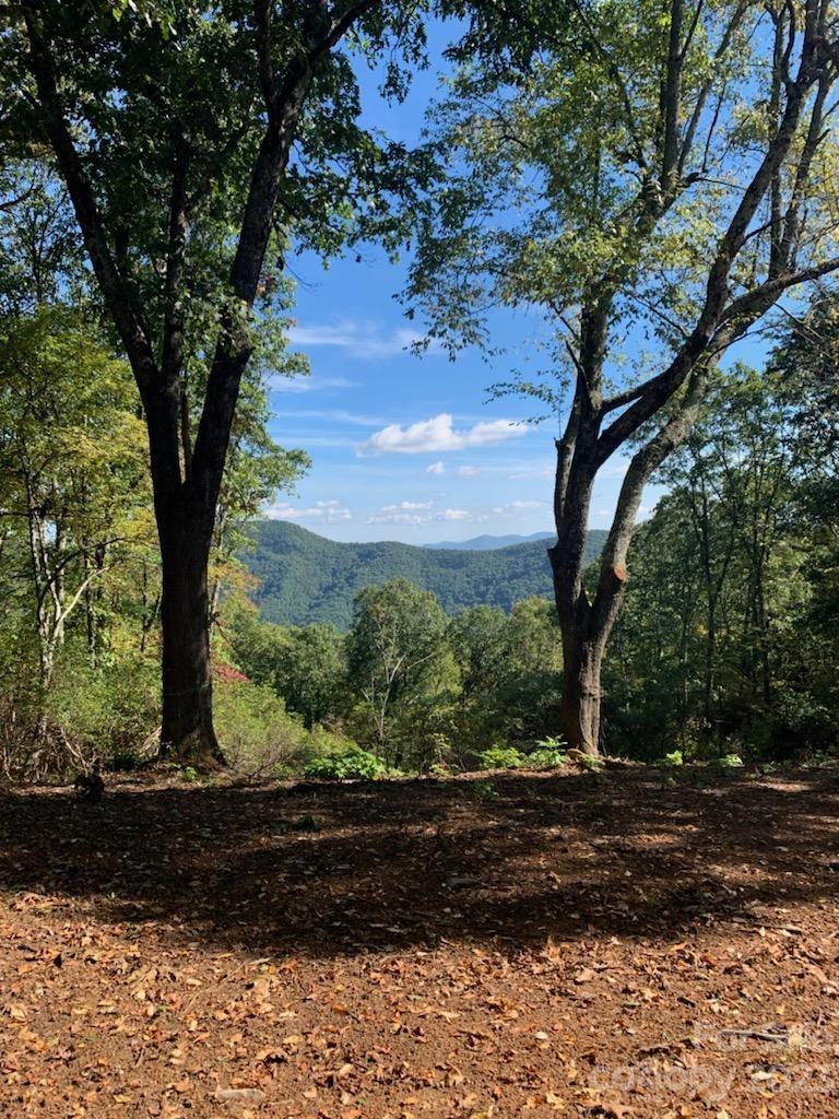 99999 Newfound Rd., Leicester, NC 28748