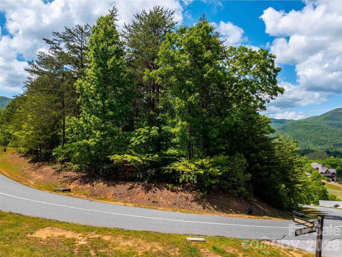 LOT 2012 Deep Gap Farm Rd., Mill Spring, NC 28756