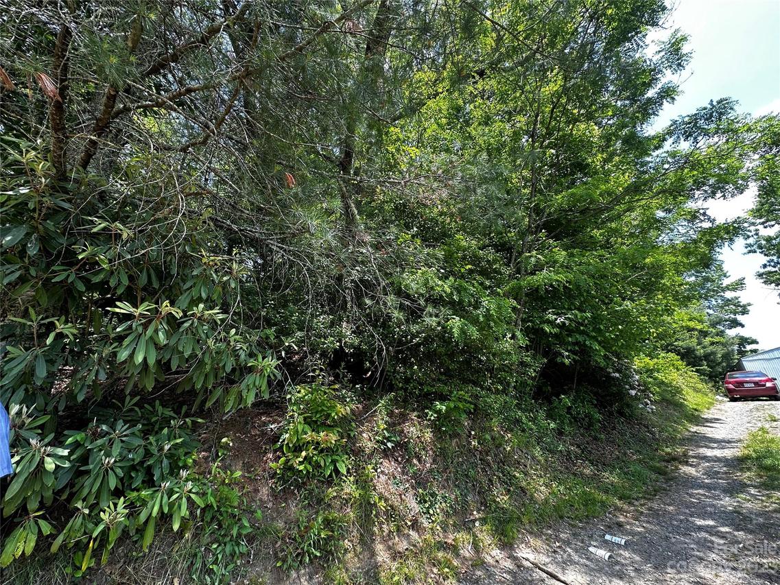 00000 Old Jonas Ridge Rd., Newland, NC 28657
