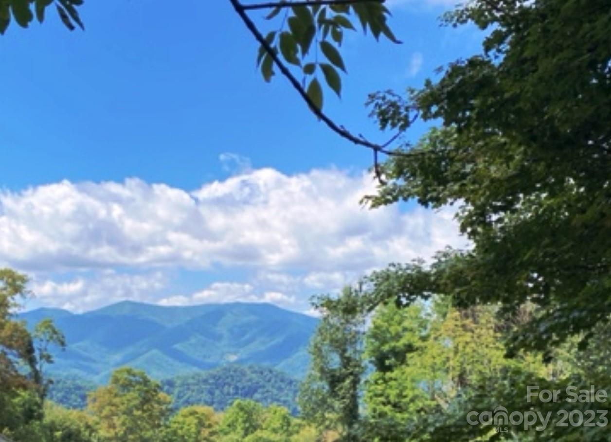 1175 Presidential Dr. #1, Waynesville, NC 28786