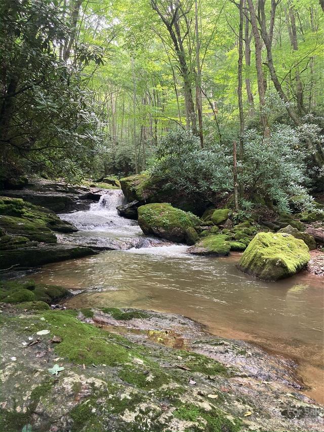 000 Big Plumtree Creek Rd., Plumtree, NC 28664