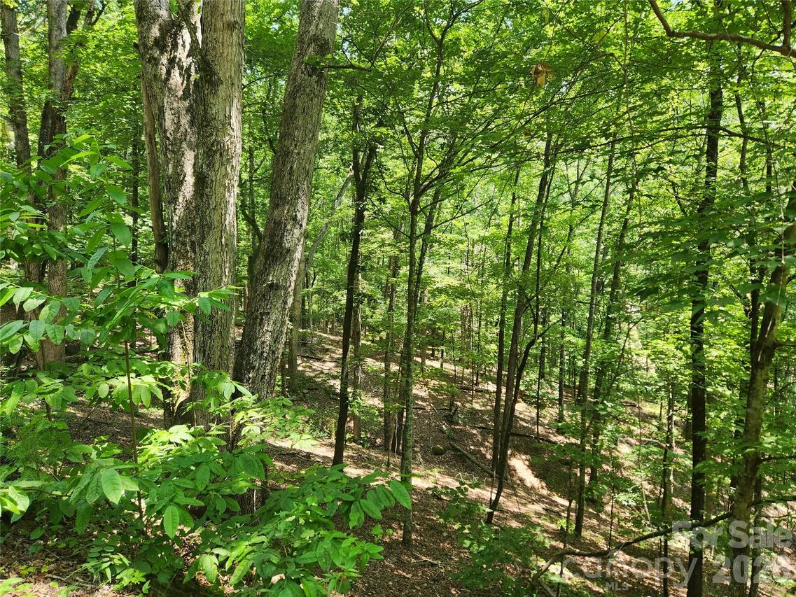 Lot 81, 82, & 88 Walnut Ln., Lake Lure, NC 28746