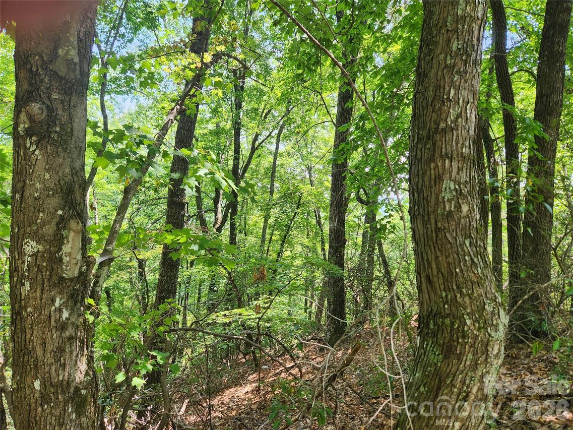 Lot 117, 118, & 132 Summit Ct., Lake Lure, NC 28746