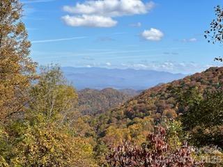 580 Freemont Dr., Leicester, NC 28748
