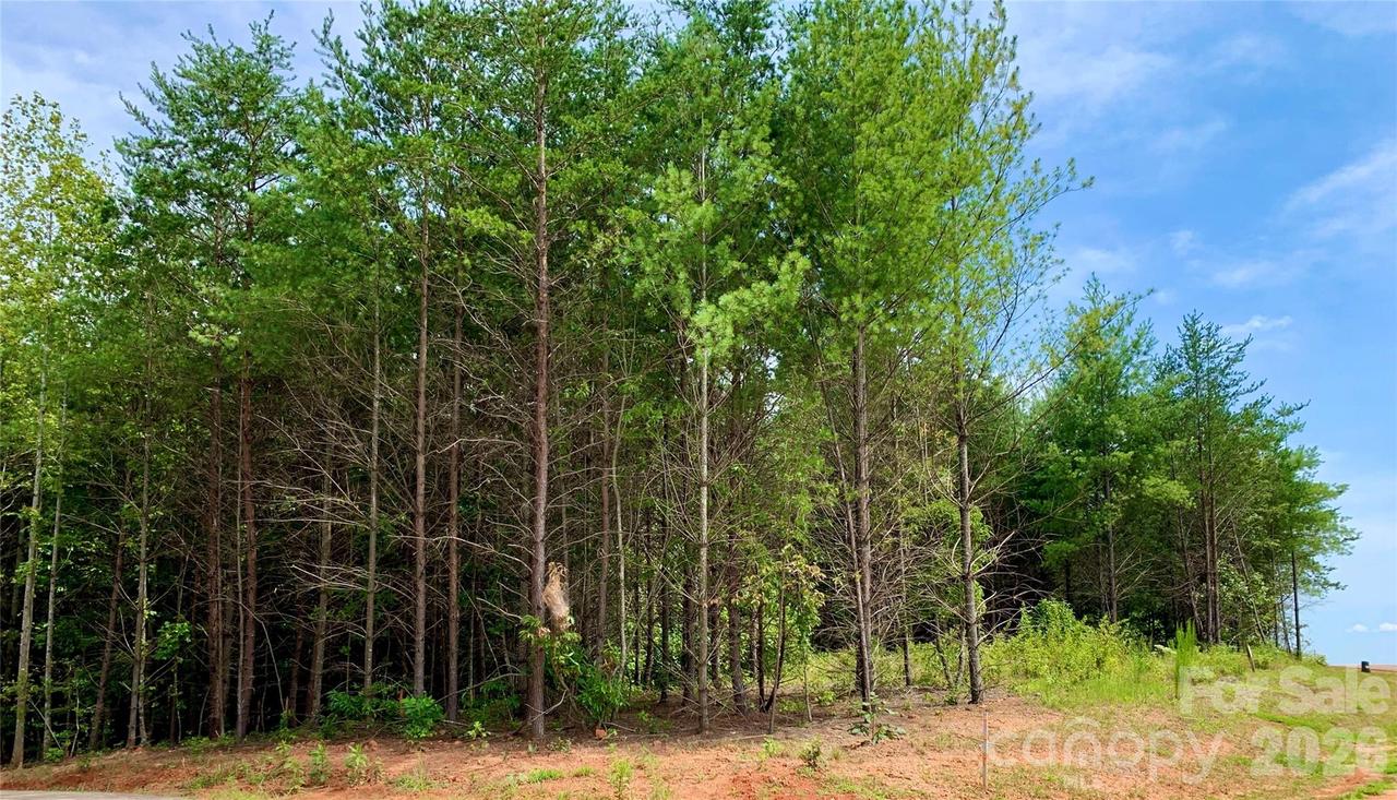 2.35 acres, Lot G49, 2069 Hitching Post Tr. #G49, Lenoir, NC 28645