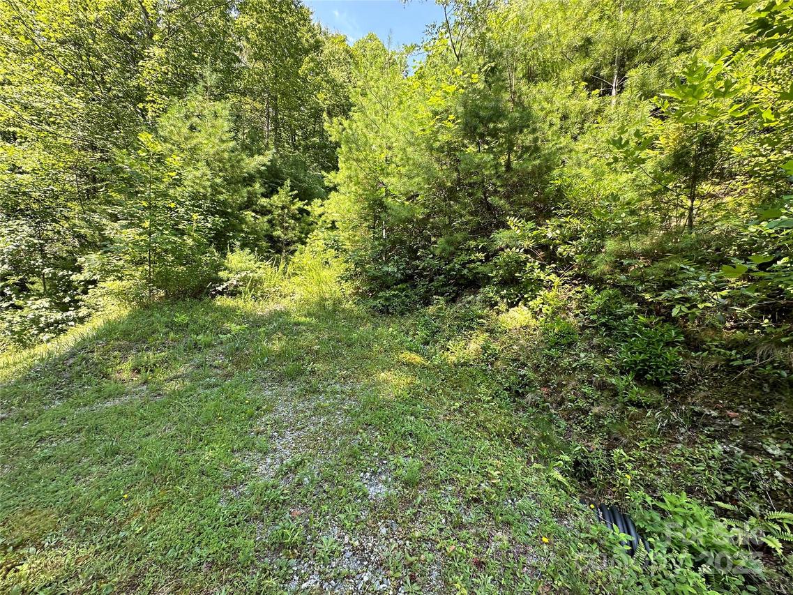 43 Abby Falls Dr., Rosman, NC 28772