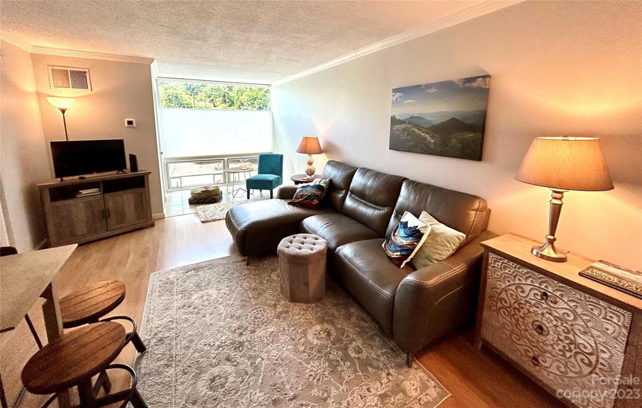 647 Town Mountain Rd. #108, Asheville, NC 28804