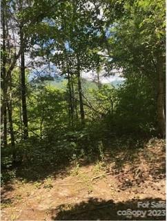 New Homes For Sale This Week in Hayesville: August 25th to August 31st