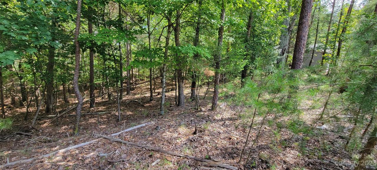 17307 Green Hill Rd., Charlotte, NC 28278