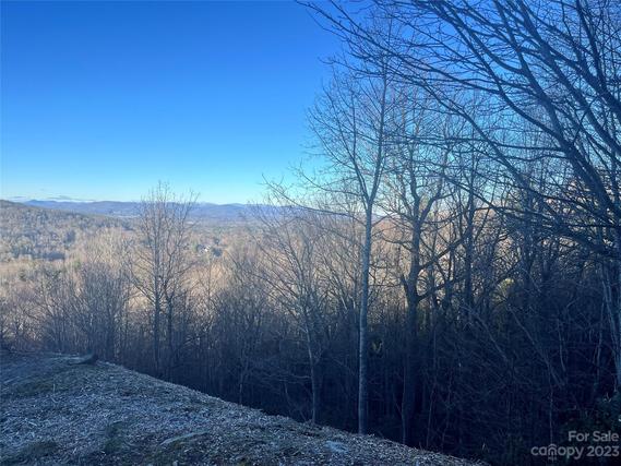 New Homes For Sale This Week in Flat Rock: February 2nd to February 8th