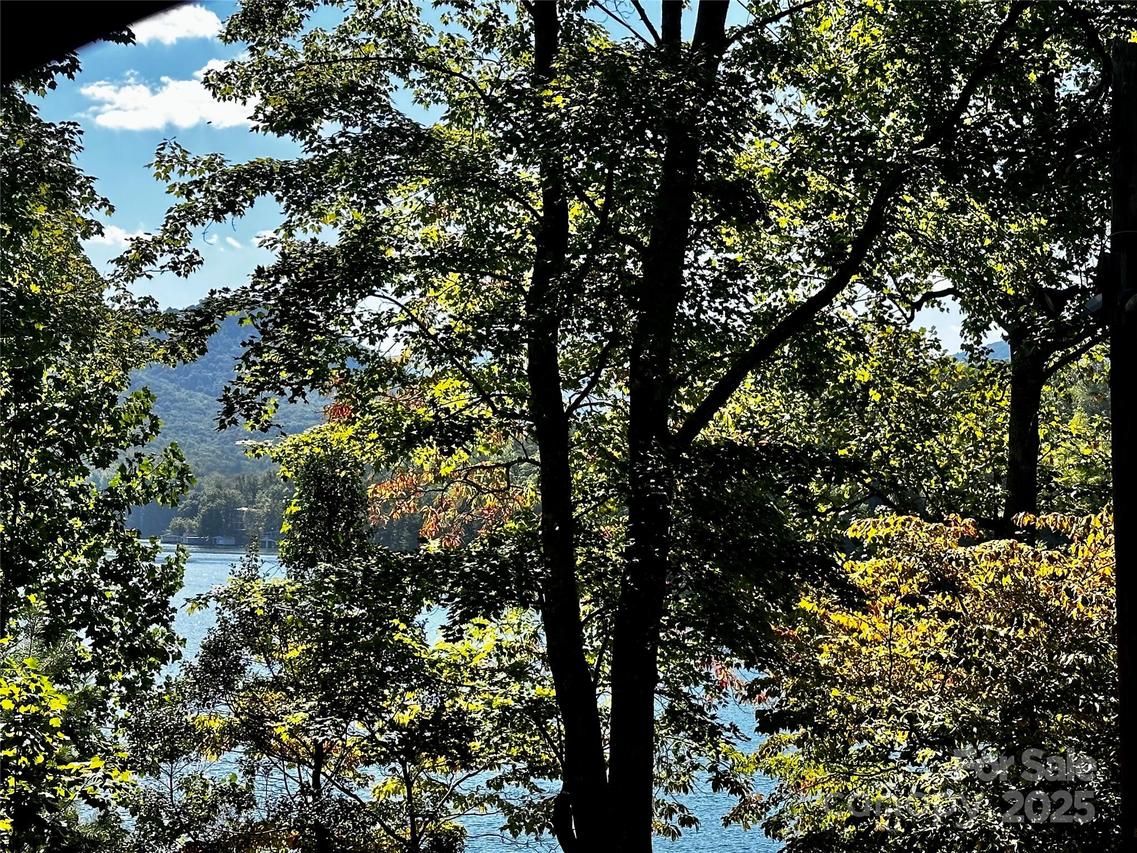 302 Ridge Rd., Lake Lure, NC 28746