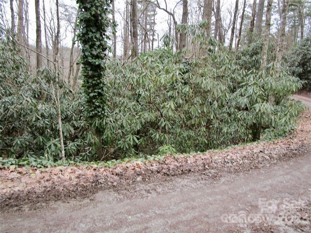 Lot #21 Toxaway Falls Dr., Lake Toxaway, NC 28747