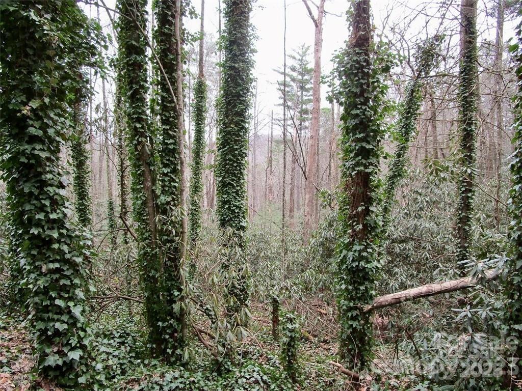 Lot #22 Toxaway Falls Dr., Lake Toxaway, NC 28747
