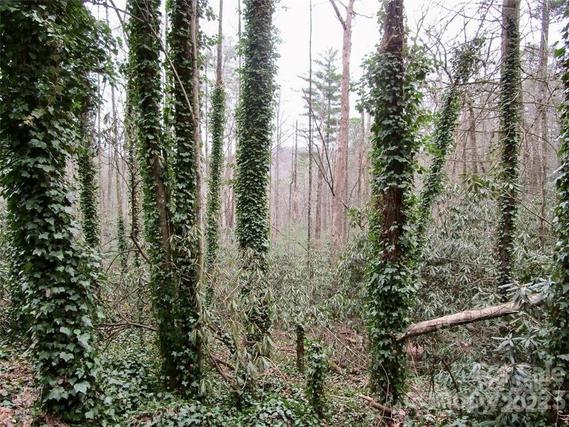 New Homes For Sale This Week in Lake Toxaway: October 13th to October 19th