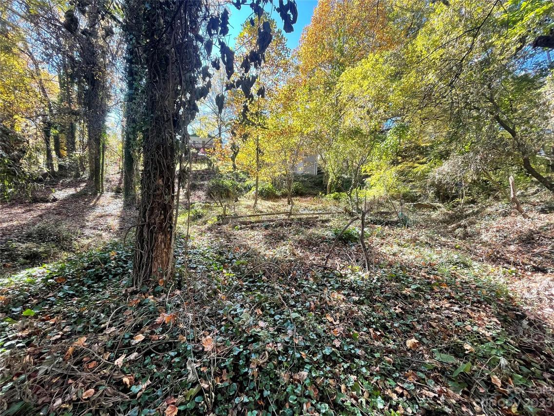 99999 Craggy Ave. #2, Asheville, NC 28806