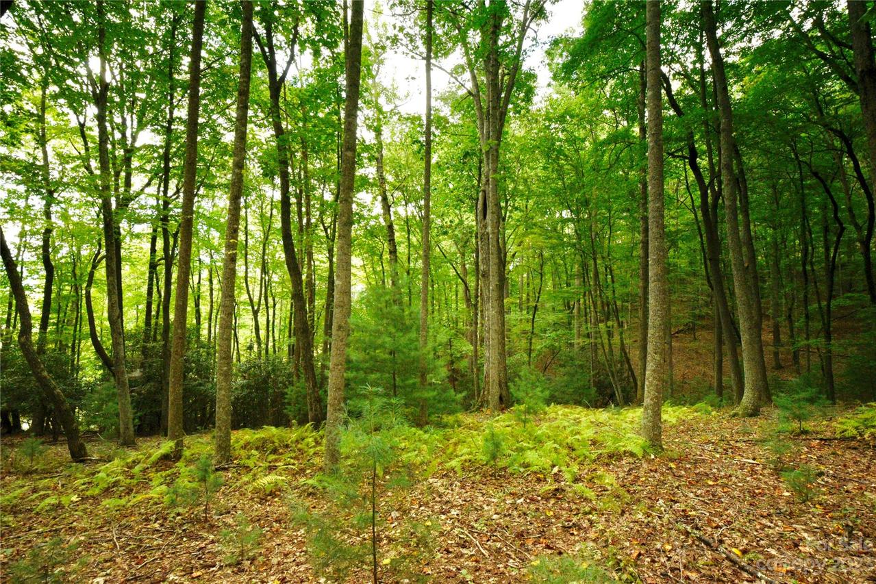 381 Stoneledge Tr., Arden, NC 28704