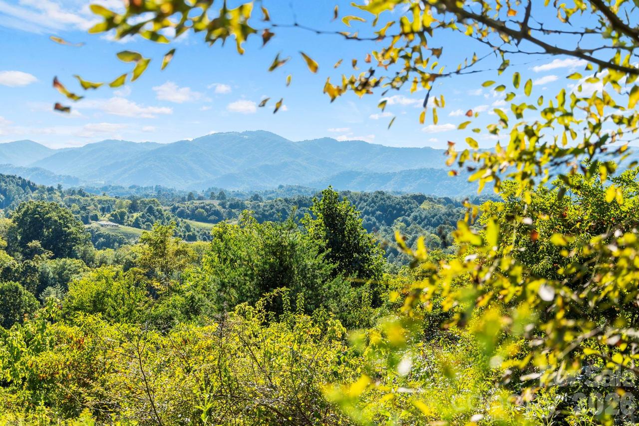 1231 Baileys Branch Rd. #3, Marshall, NC 28753