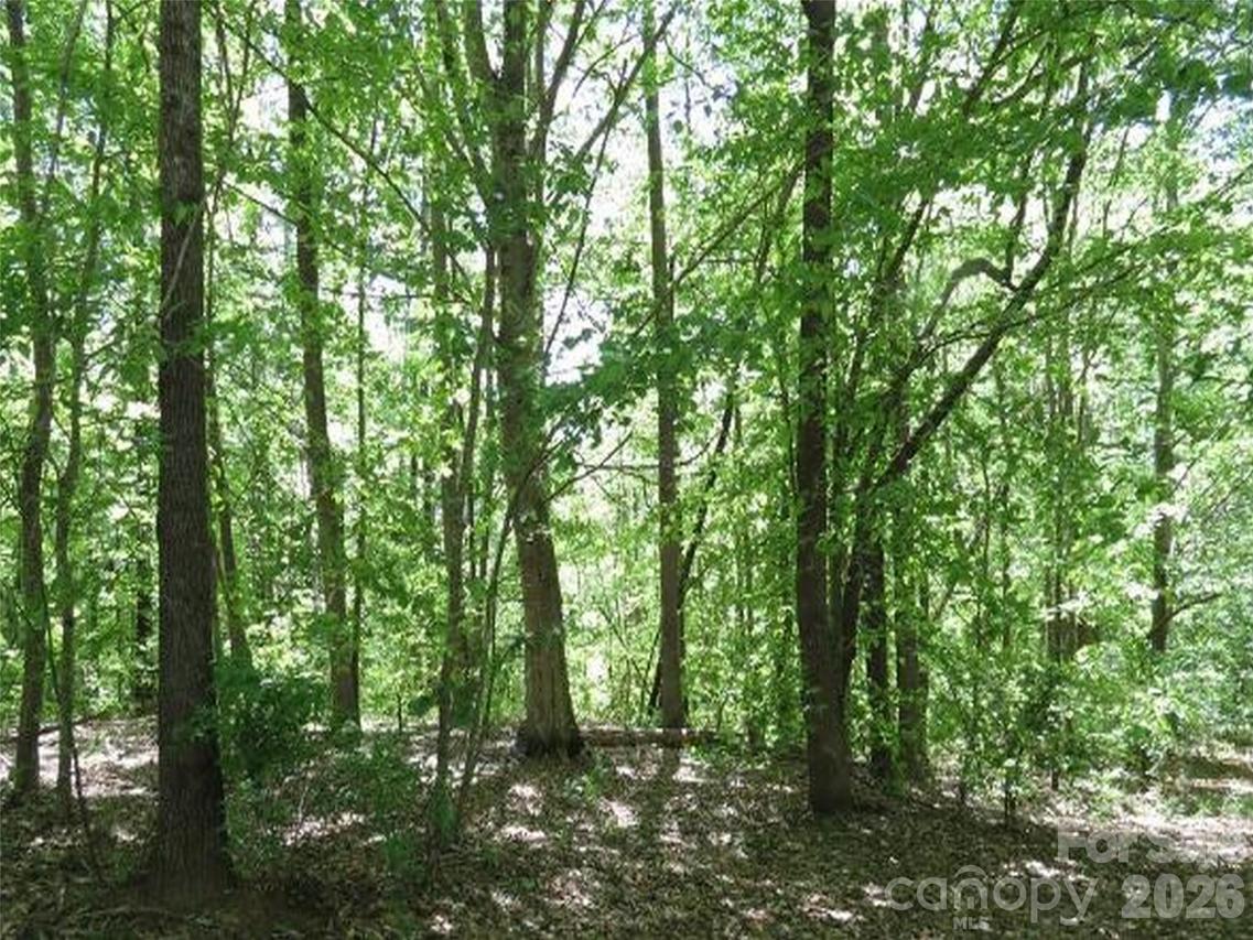 General Griffith Cir. #25, Rutherfordton, NC 28139