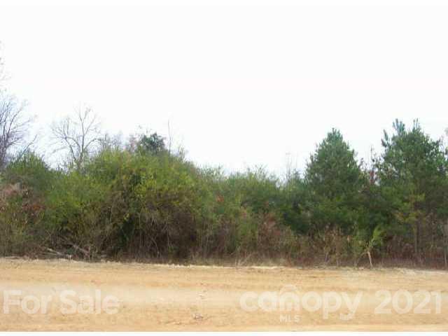 Lot 4 Petes Rd., Lincolnton, NC 28092