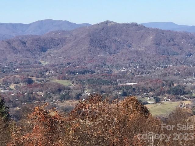 1714 Harriets Tr., Waynesville, NC 28786