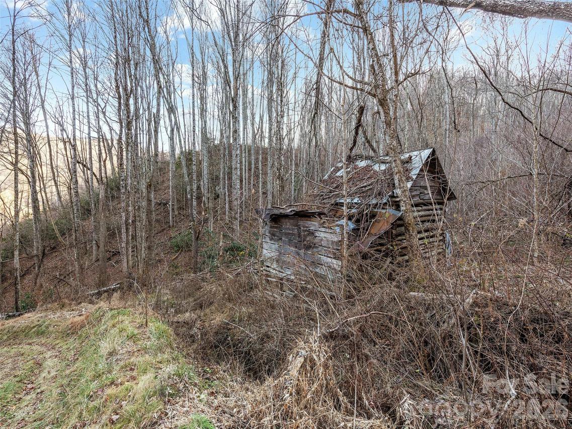 00 Nc 209 Hwy., Spring Creek, NC 28743