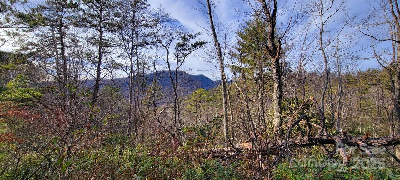 V/L Chickasaw Way #2B, Marion, NC 28752