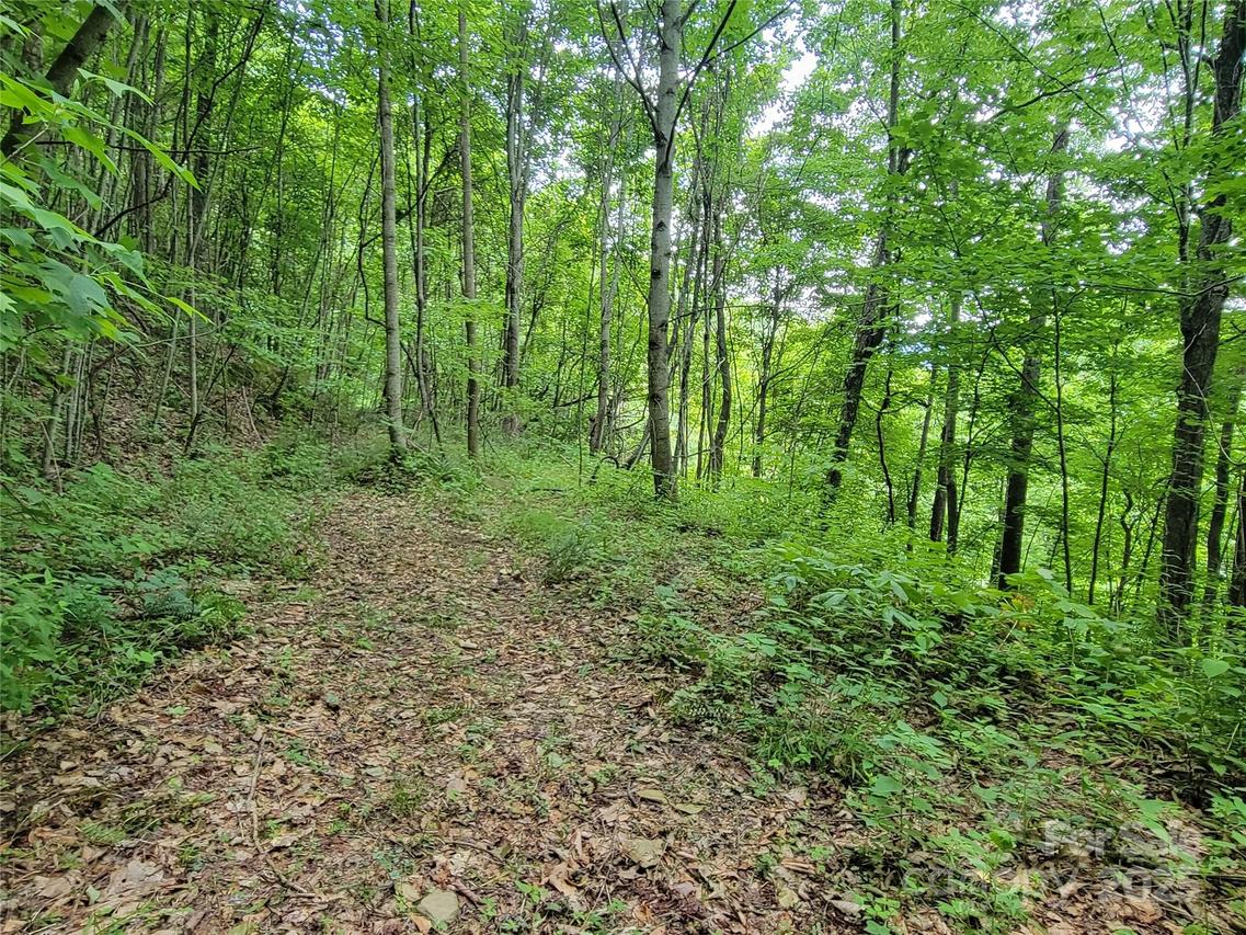 75 Rimrock Ridge #I, Clyde, NC 28721