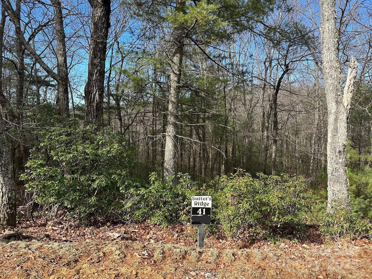 [Address Hidden by Seller], Mcgrady, NC 28649