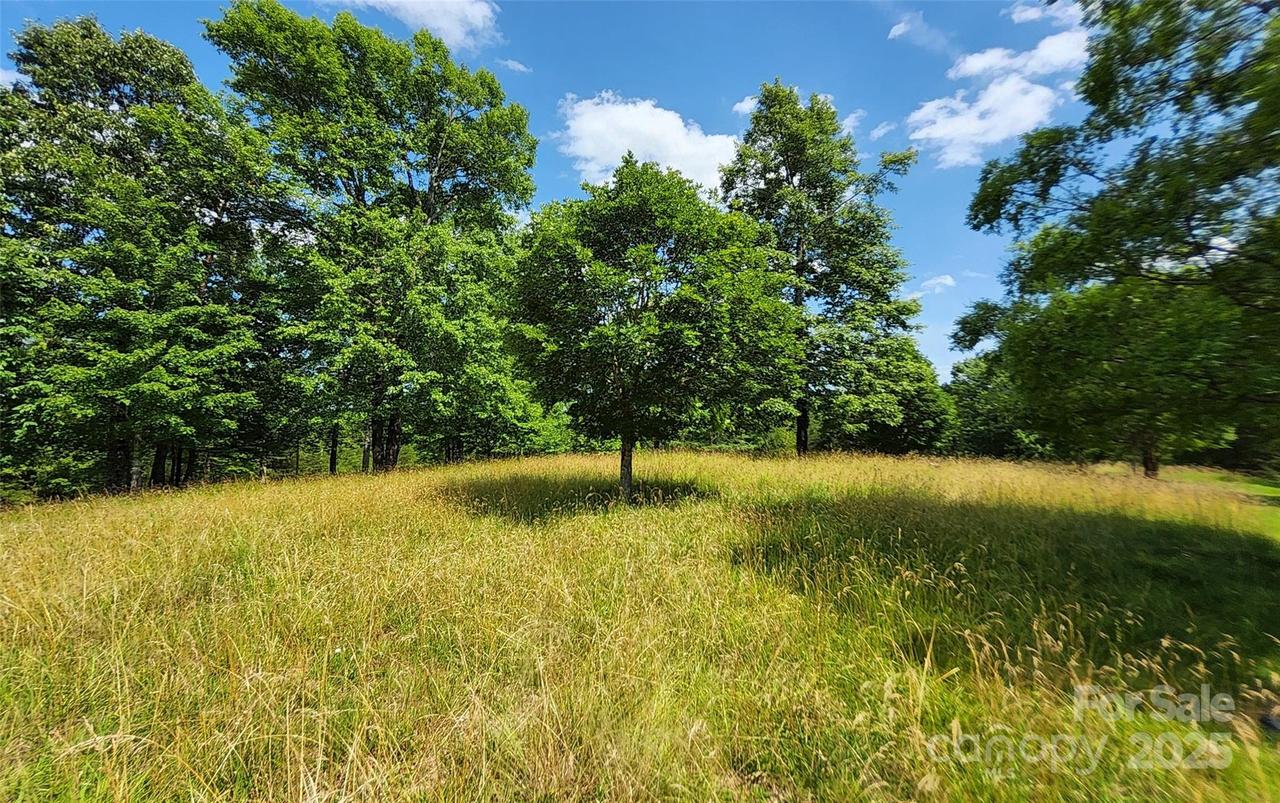 Mountain Pkwy. #52/53/54, Mill Spring, NC 28756
