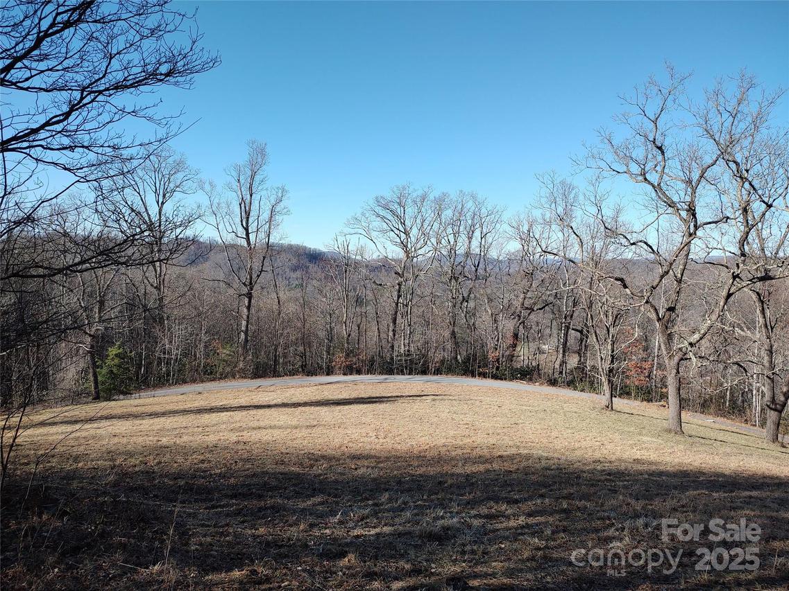 Vineyard Hill Dr., Fletcher, NC 28732