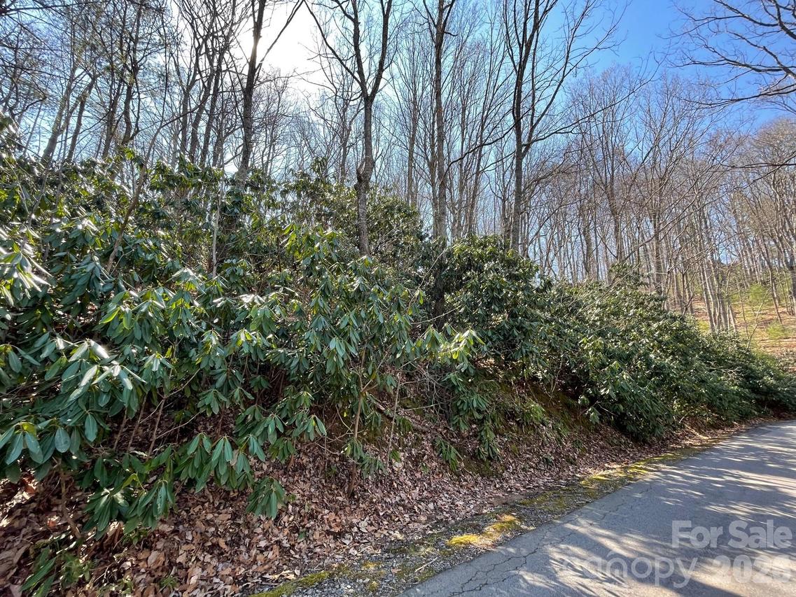 111 Deer Run Ln. #40, Asheville, NC 28805